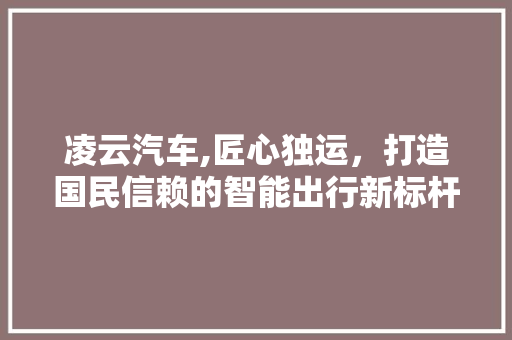 凌云汽车,匠心独运，打造国民信赖的智能出行新标杆