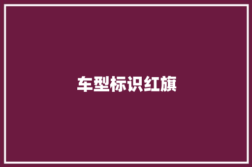 车型标识红旗