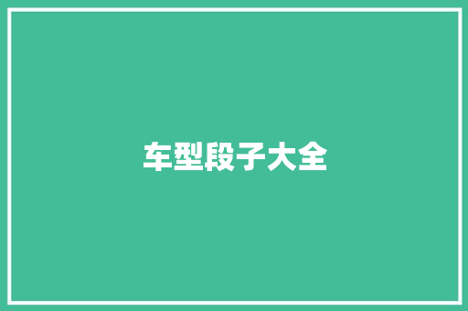 车型段子大全