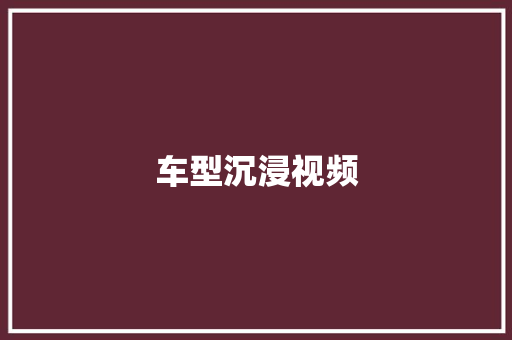 车型沉浸视频