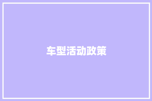 车型活动政策