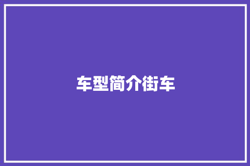 车型简介街车