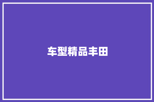 车型精品丰田