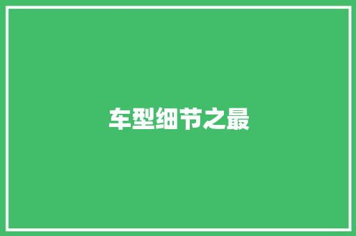 车型细节之最