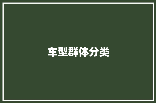 车型群体分类