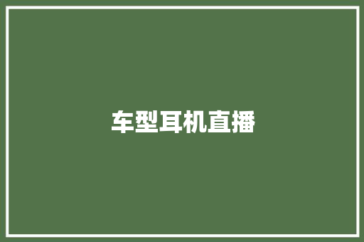 车型耳机直播