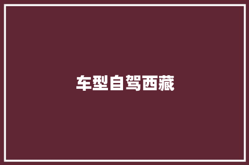 车型自驾西藏