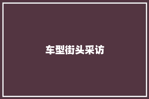车型街头采访