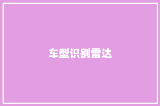 车型识别雷达