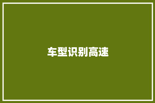 车型识别高速
