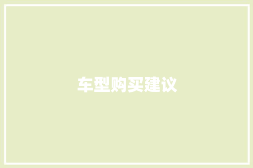 车型购买建议
