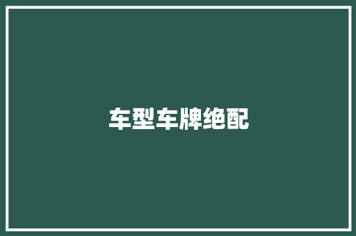 车型车牌绝配