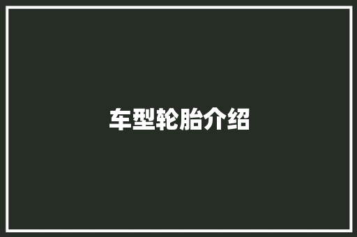 车型轮胎介绍 变速箱配件
