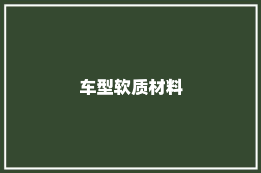 车型软质材料