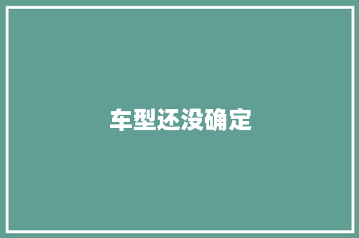 车型还没确定