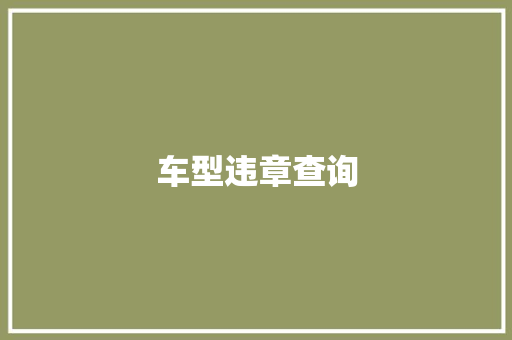 车型违章查询