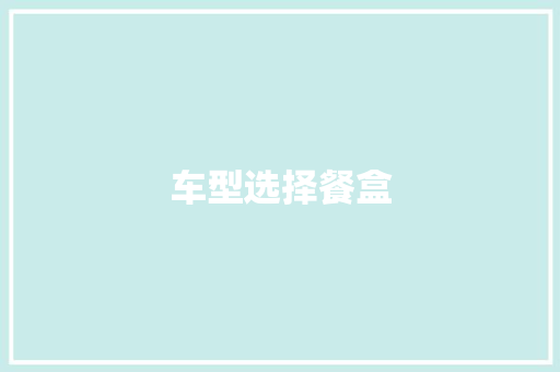 车型选择餐盒