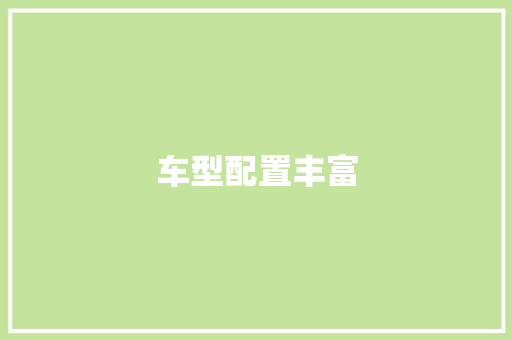 车型配置丰富