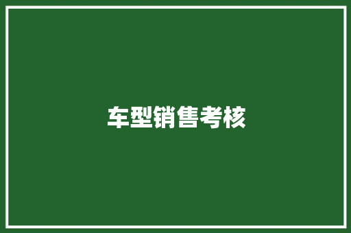 车型销售考核