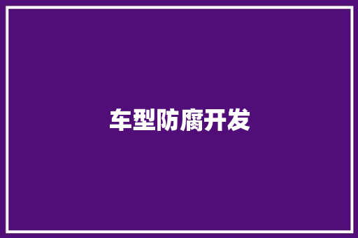 车型防腐开发