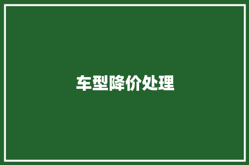 车型降价处理 蓄电池配件