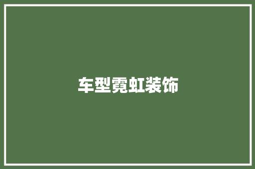 车型霓虹装饰