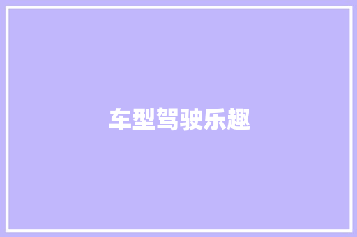 车型驾驶乐趣