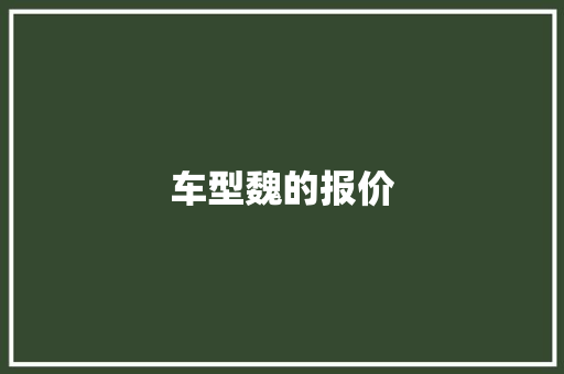 车型魏的报价