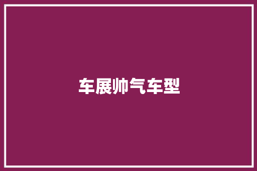 车展帅气车型