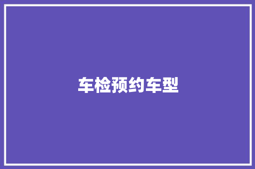 车检预约车型