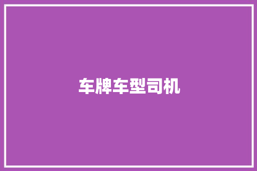 车牌车型司机