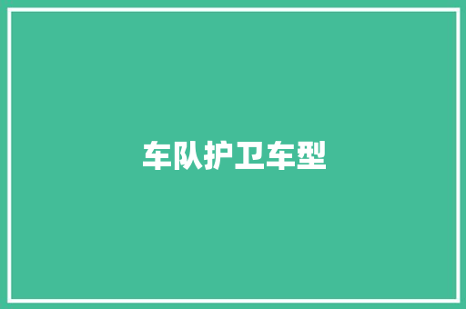 车队护卫车型