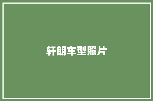 轩朗车型照片