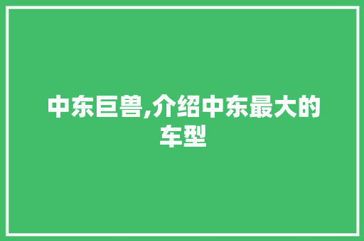 中东巨兽,介绍中东最大的车型