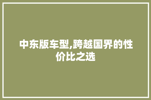 中东版车型,跨越国界的性价比之选