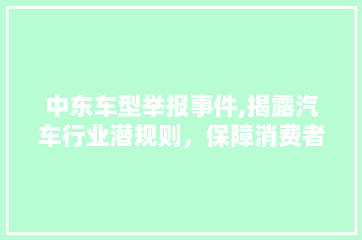 中东车型举报事件,揭露汽车行业潜规则，保障消费者权益