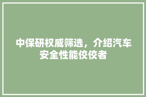 中保研权威筛选，介绍汽车安全性能佼佼者