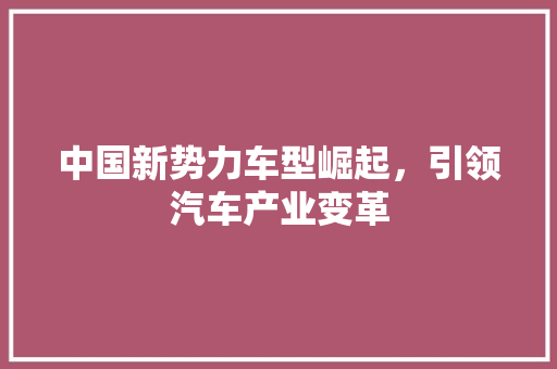 中国新势力车型崛起，引领汽车产业变革