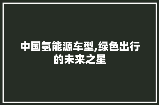 中国氢能源车型,绿色出行的未来之星