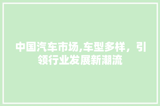 中国汽车市场,车型多样，引领行业发展新潮流