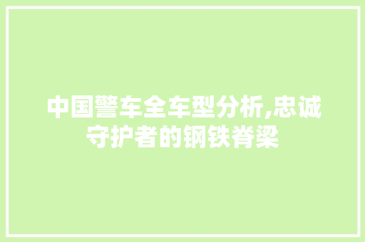 中国警车全车型分析,忠诚守护者的钢铁脊梁 车身配件