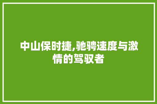 中山保时捷,驰骋速度与激情的驾驭者