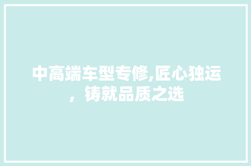 中高端车型专修,匠心独运，铸就品质之选