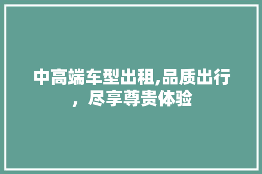 中高端车型出租,品质出行，尽享尊贵体验