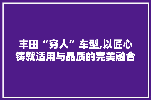 丰田“穷人”车型,以匠心铸就适用与品质的完美融合 车身配件
