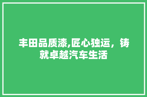 丰田品质漆,匠心独运，铸就卓越汽车生活