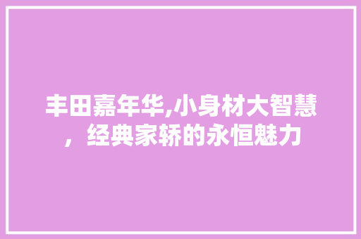 丰田嘉年华,小身材大智慧，经典家轿的永恒魅力