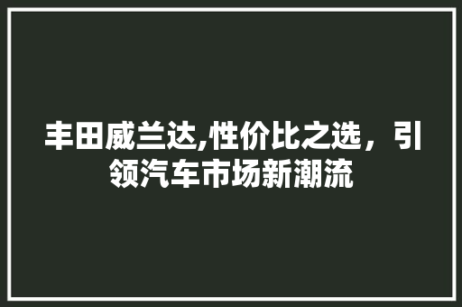 丰田威兰达,性价比之选，引领汽车市场新潮流