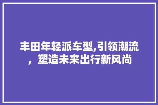 丰田年轻派车型,引领潮流，塑造未来出行新风尚