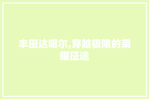 丰田达喀尔,穿越极限的荣耀征途
